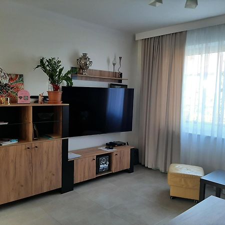 Apartament Renii Blisko Areny Lodowej Apartman Tomaszów Mazowiecki Kültér fotó